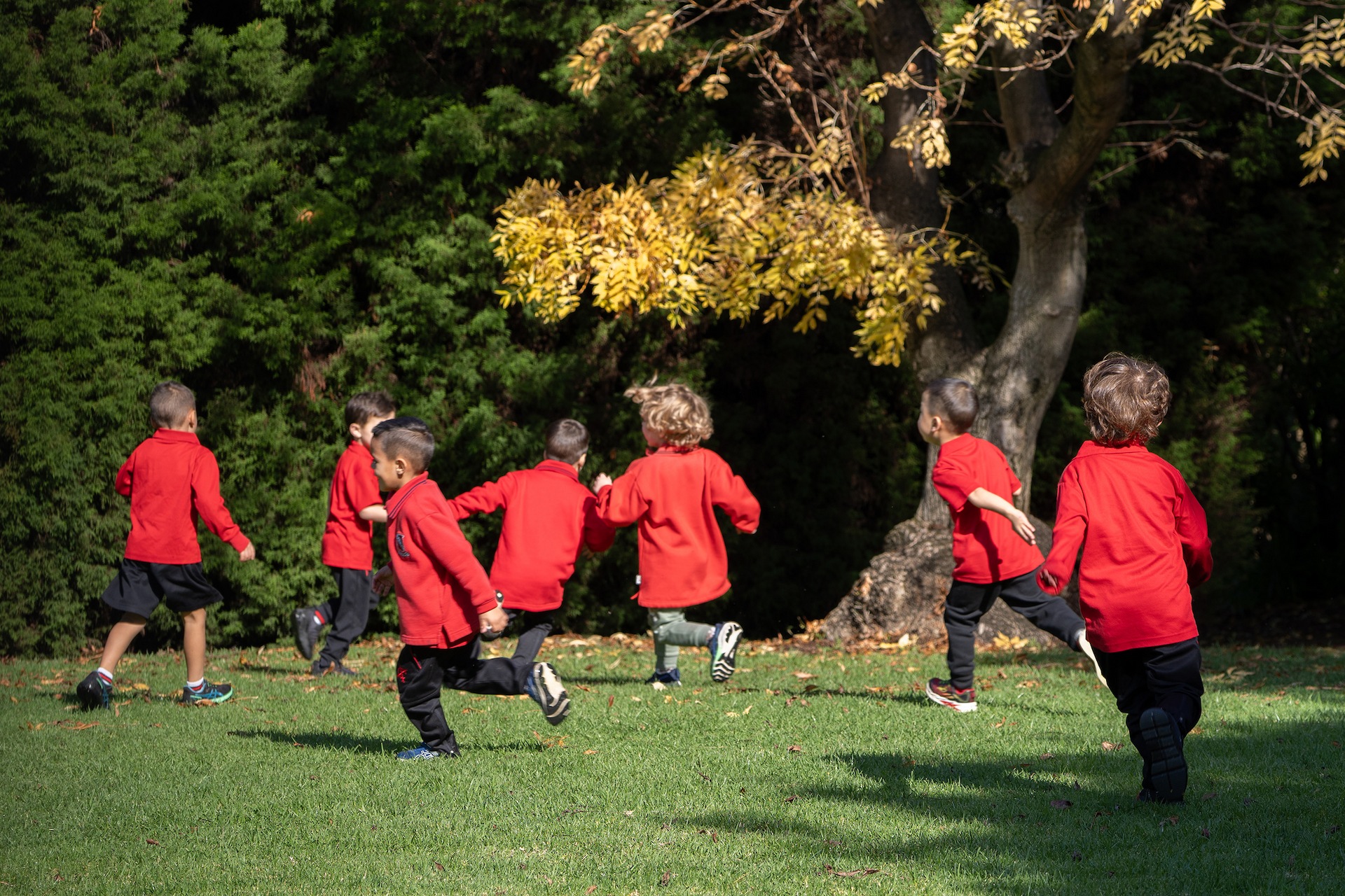 kids grass